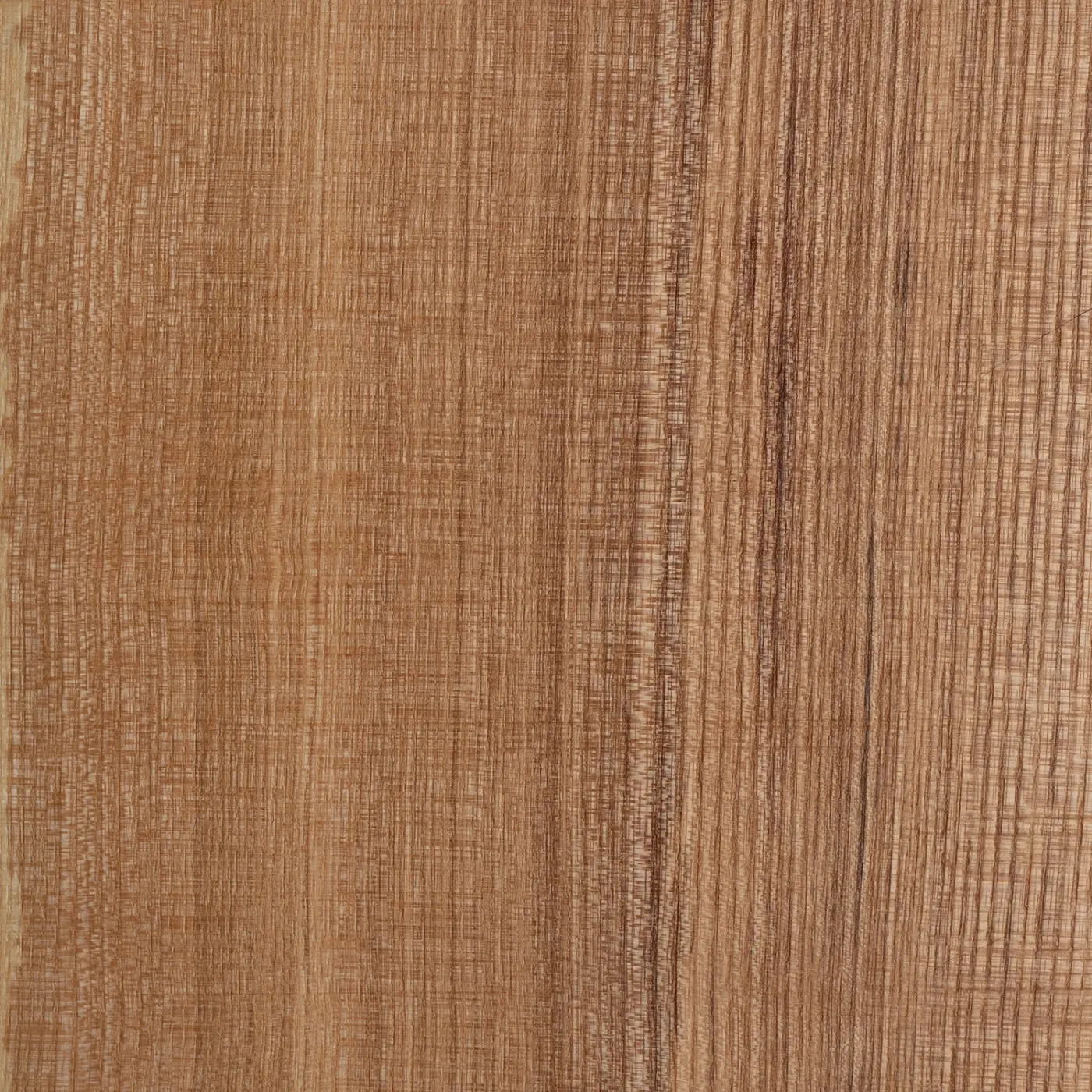 Gaiša oša koksnes parauga tekstūra